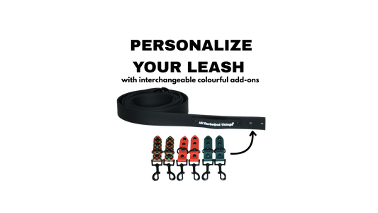 Complete Leash "Black with add-on" Christmas Edition