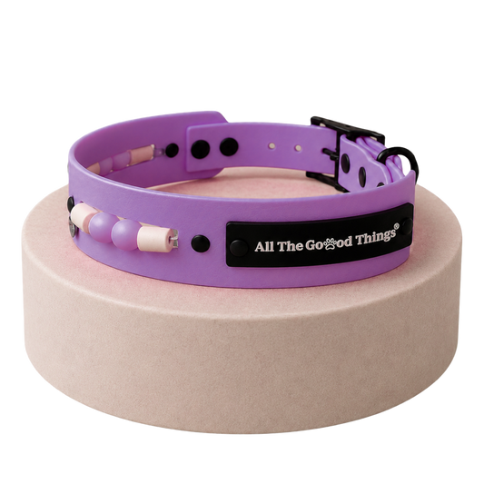 Aura Collar Lavender
