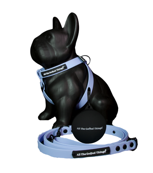 Full set "Harness" Sky