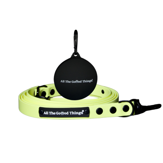 Set "Leash+Treat/Poop Bag" Lemon