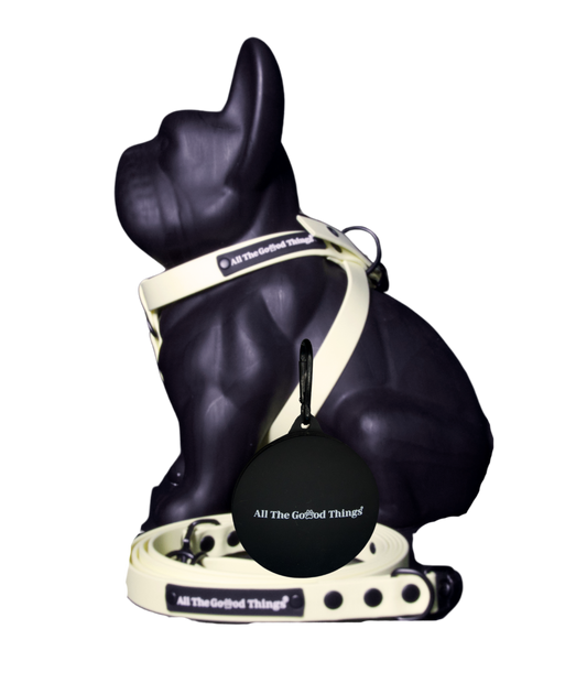 Full set "Harness" Lemon