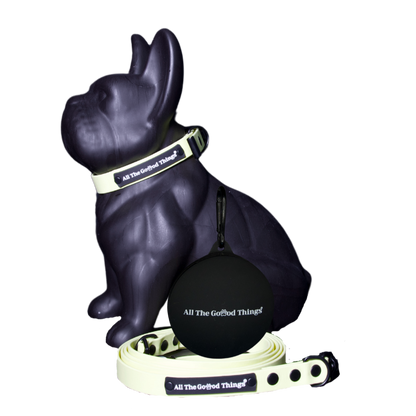 Full set "Collar" Lemon