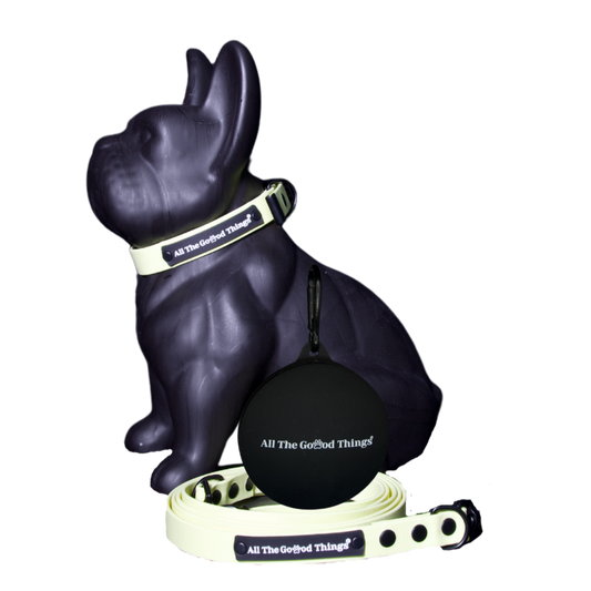 Full set "Collar" Lemon