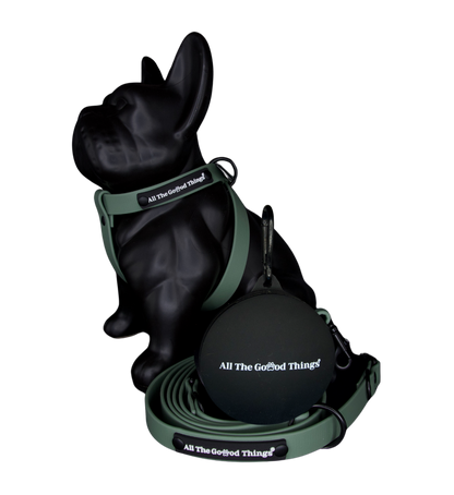 Full set "Harness" Olive