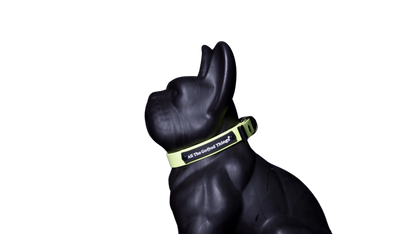 Collar Lemon