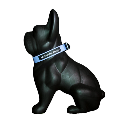 Collar Sky