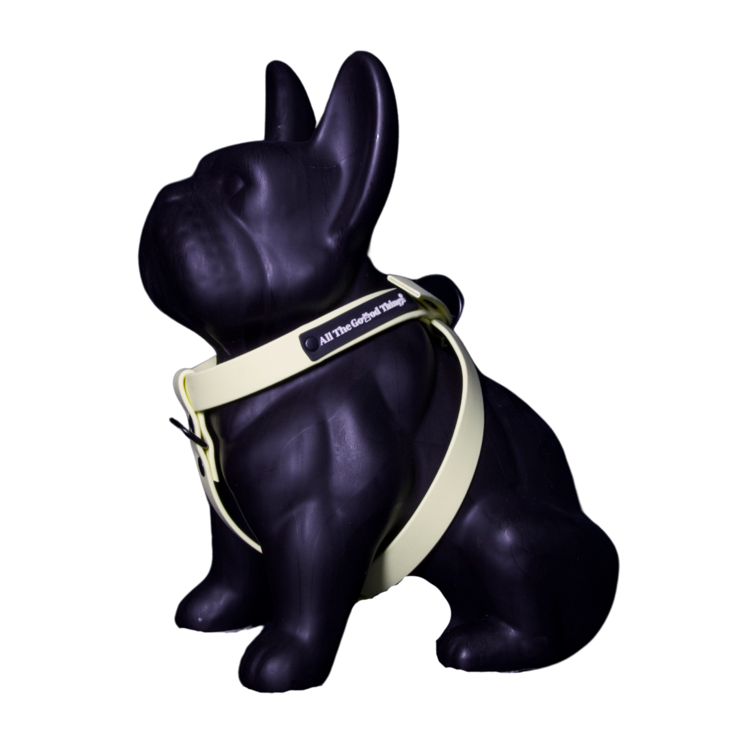 Harness Lemon