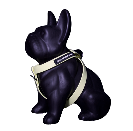 Harness Lemon