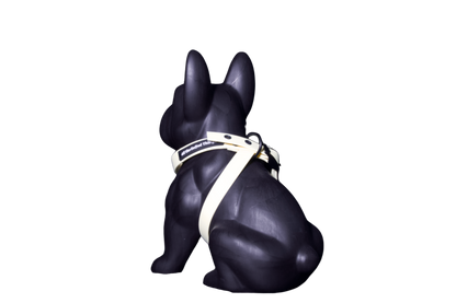 Harness Lemon