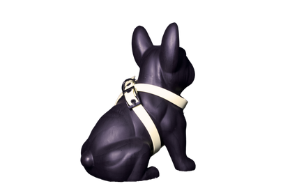 Harness Lemon