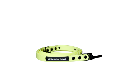 Leash Lemon