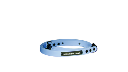 Set "Leash+Treat/Poop Bag" Sky